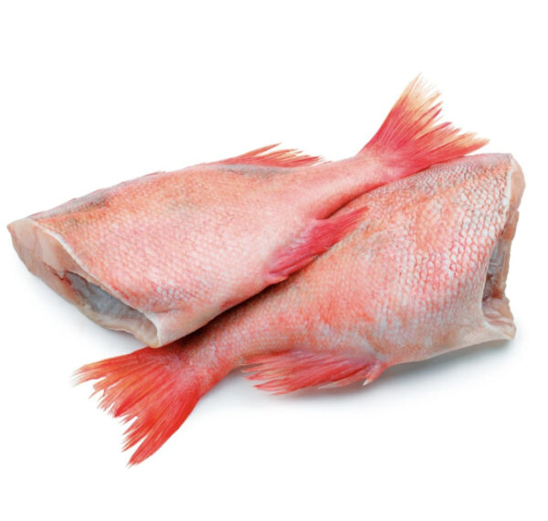 Frozen Red Bream Fish