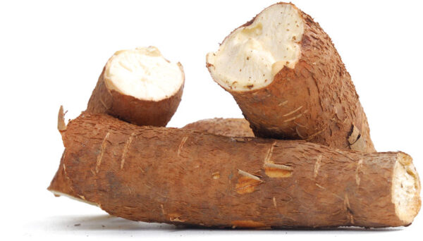 Cassava Box 20kg