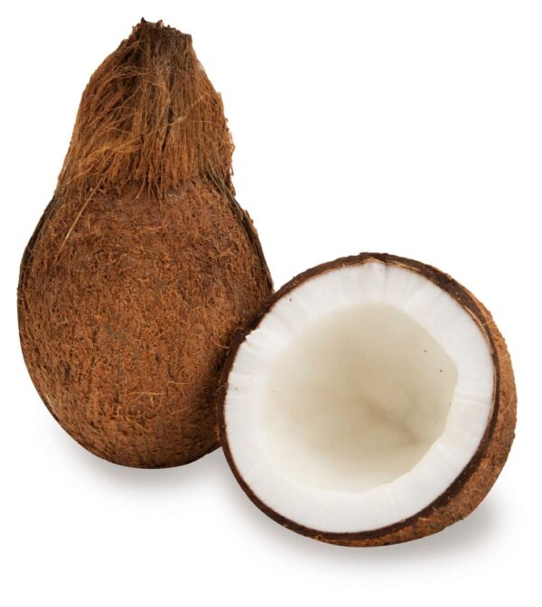 Fresh African Coconut