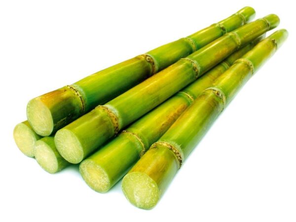 Sugar Cane 1.2kg