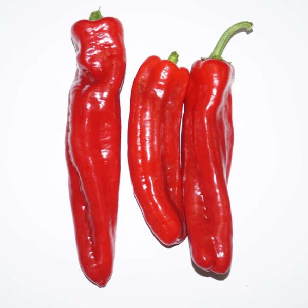 Fresh Long Red Pepper Box