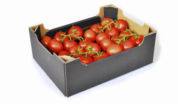 Fresh Vine Tomatoes Box