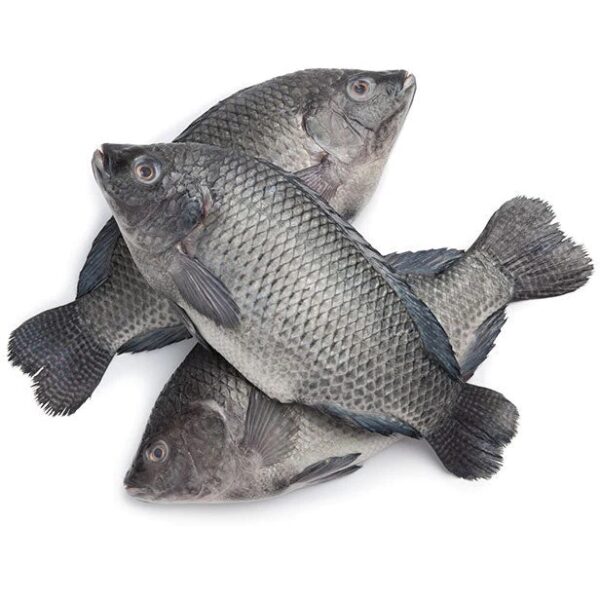 Frozen Tilapia (Gutted & Scaled) Medium 2.5kg