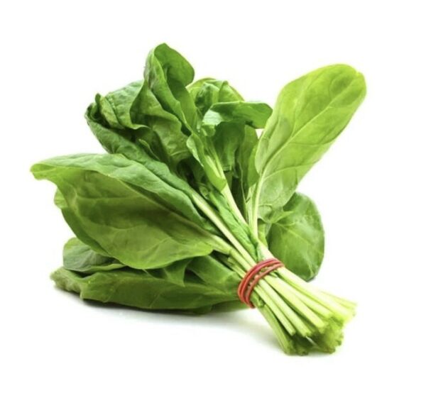 Fresh Spinach Bunch