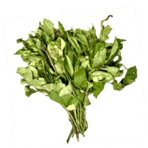 Fresh Ugu (Pumpkin Leaves) Bunch