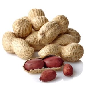 Monkey Peanuts