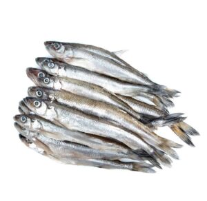 Frozen Whole Blue Whiting Fish