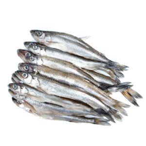 Frozen Whole Blue Whiting Fish